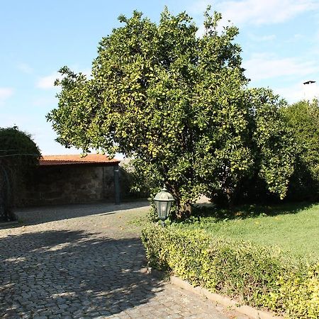Casa Da Miza Villa Vilar do Pinheiro Exterior foto